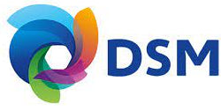 dsm_logo